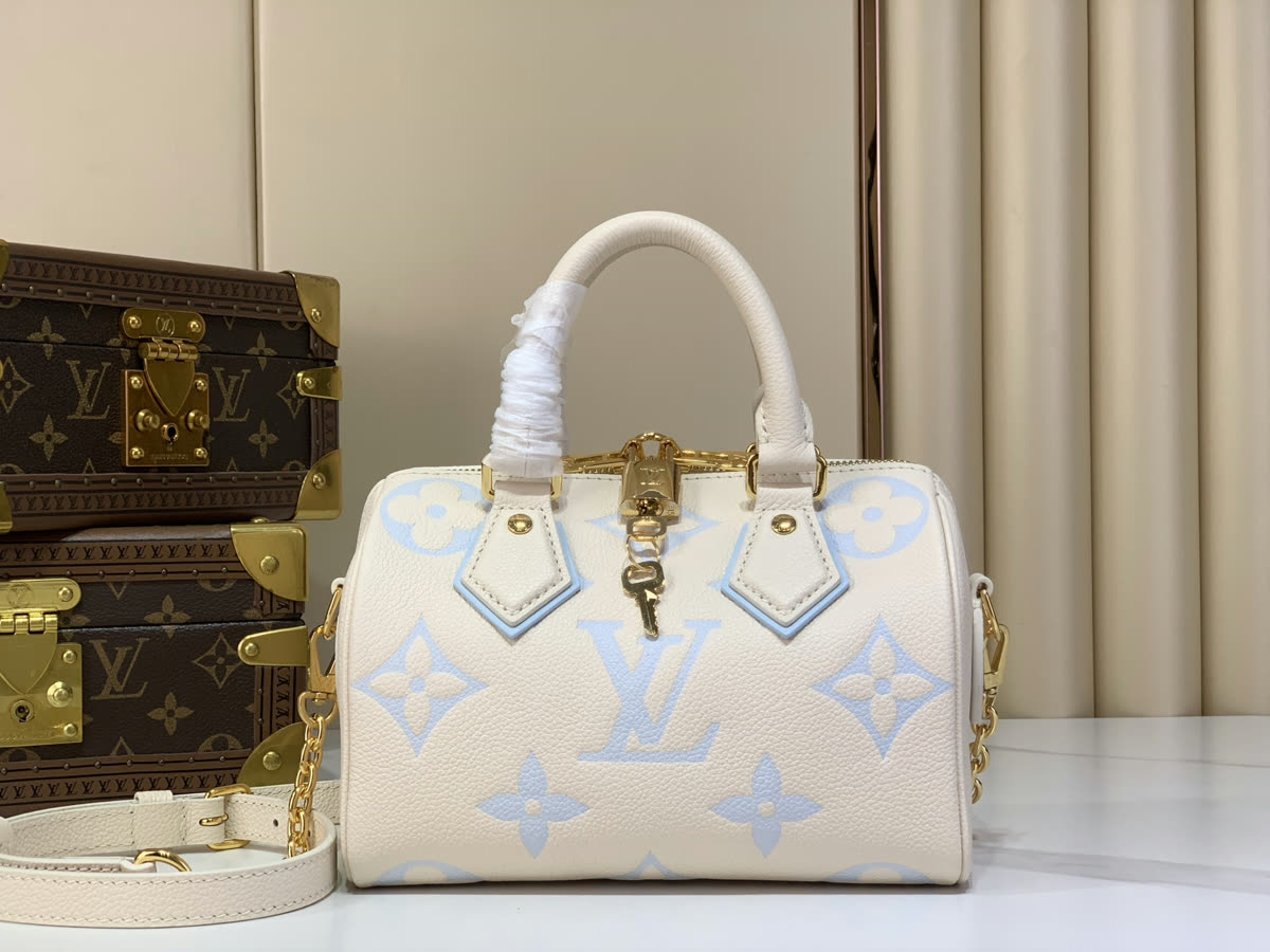 Louis Vuitton bag photo request